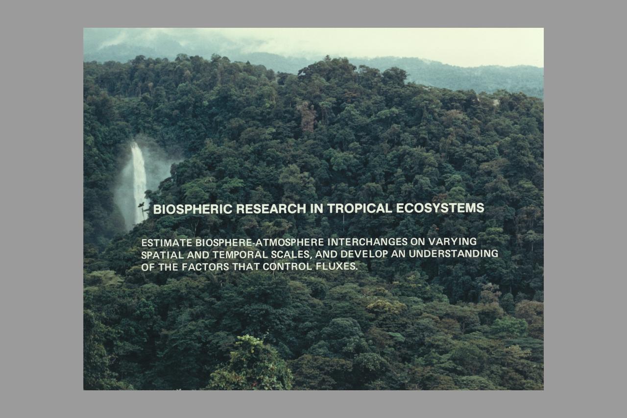 nitrogen mineralization: Biospheric research in tropical ecosystems