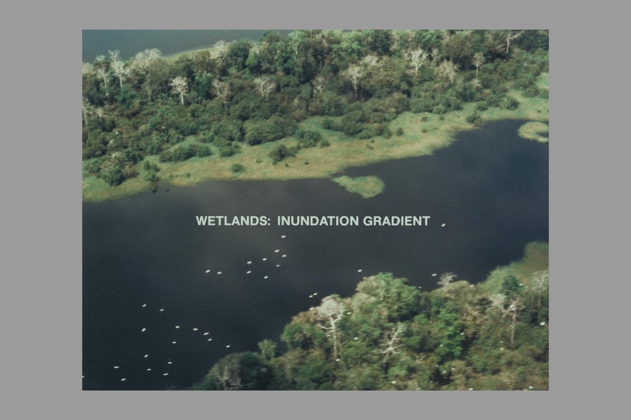 nitrogen mineralization: wetlands, inundation gradient