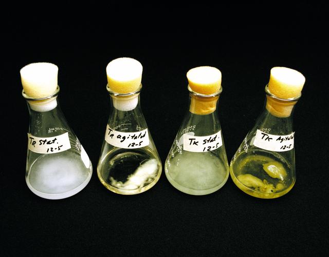 NASA image: ARC-1988-AC88-0770-1