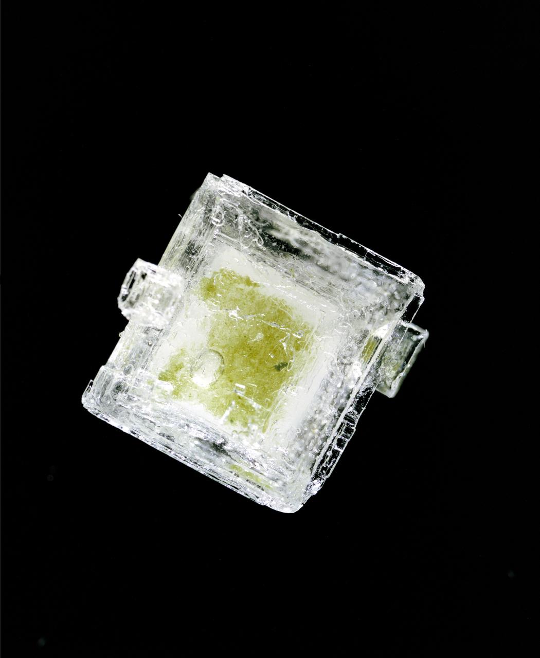 Hypersaline Cyanobacterial salt crystal