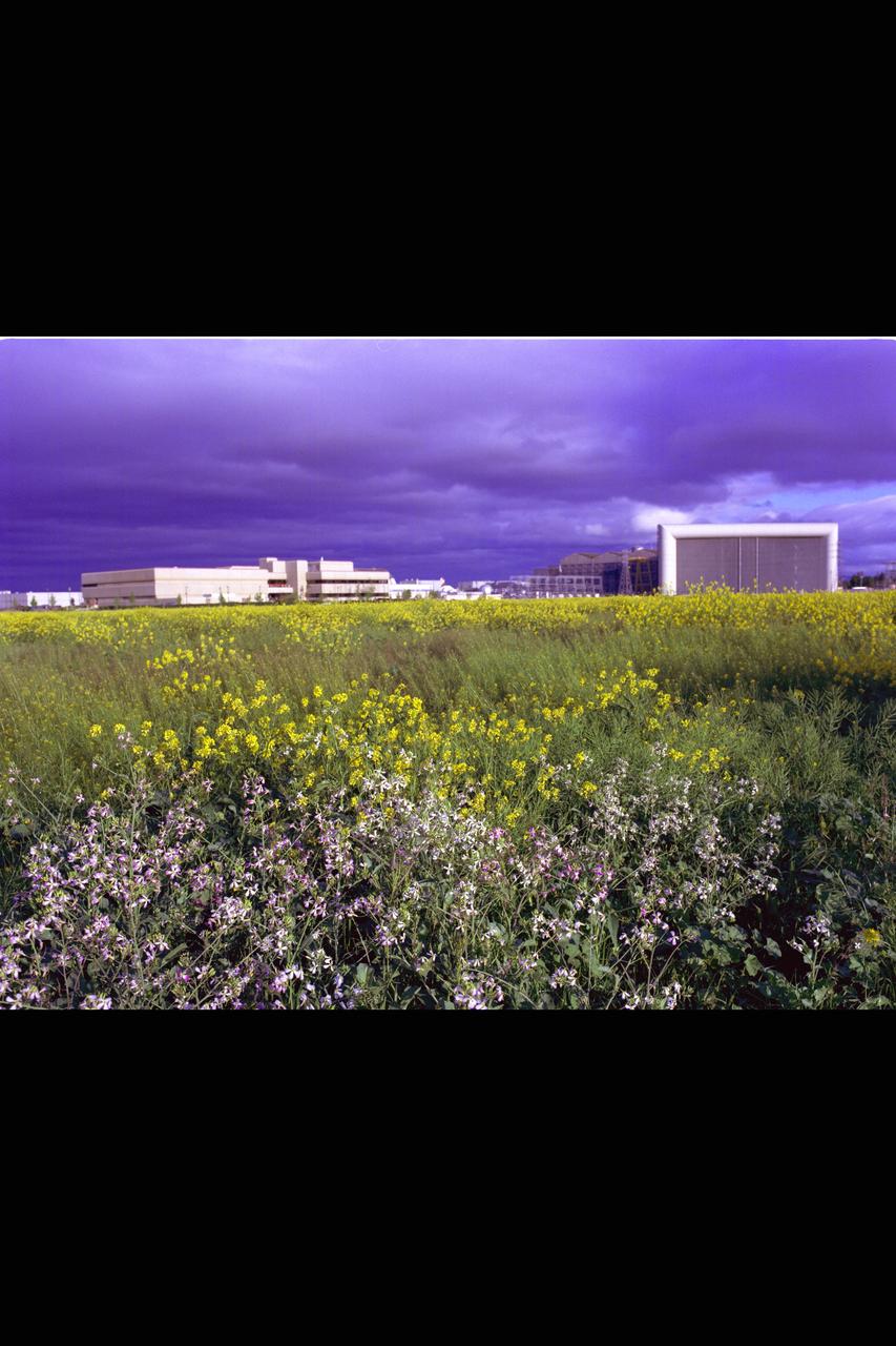 NASA Ames Research Center interaction with environment. The 40x80ft. W.T. and the Numerical Aerodynamic Simulation (NAS) building (N-258) are shown in the background.