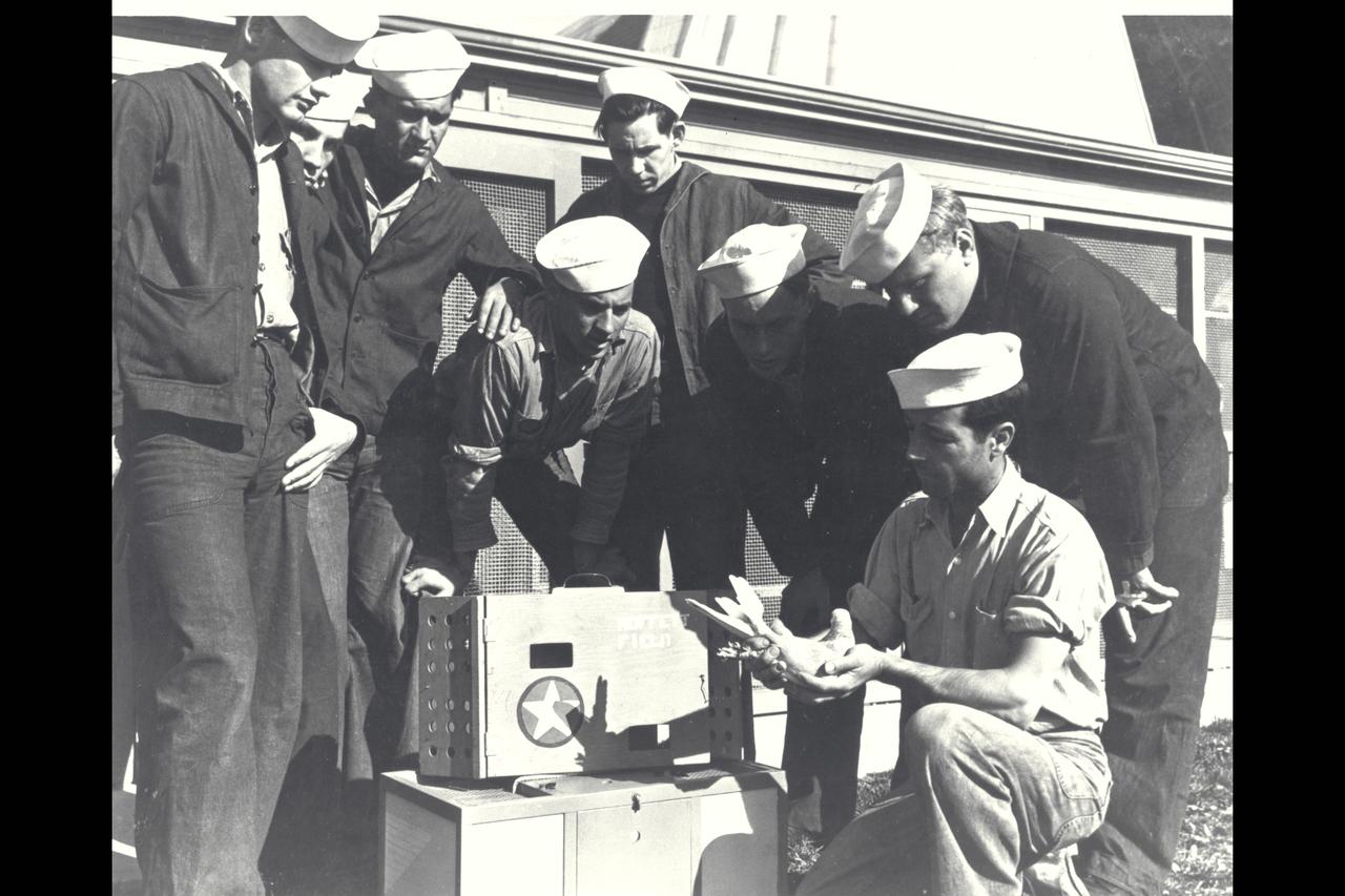 Moffett Field Pigeon with Navy personnel (@1935)