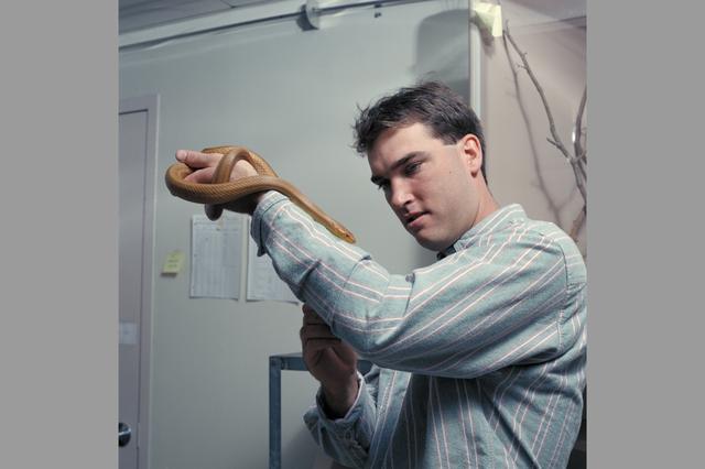 NASA image: ARC-1993-AC93-0265-29