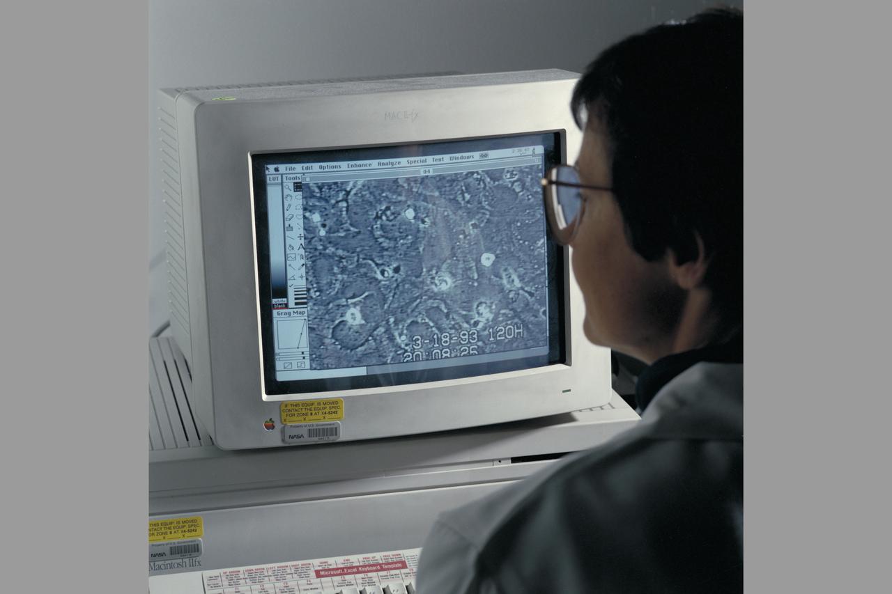 Life Sceince Division Facilities, Labs and Personnel  (Code-SL) Nancy Dounton