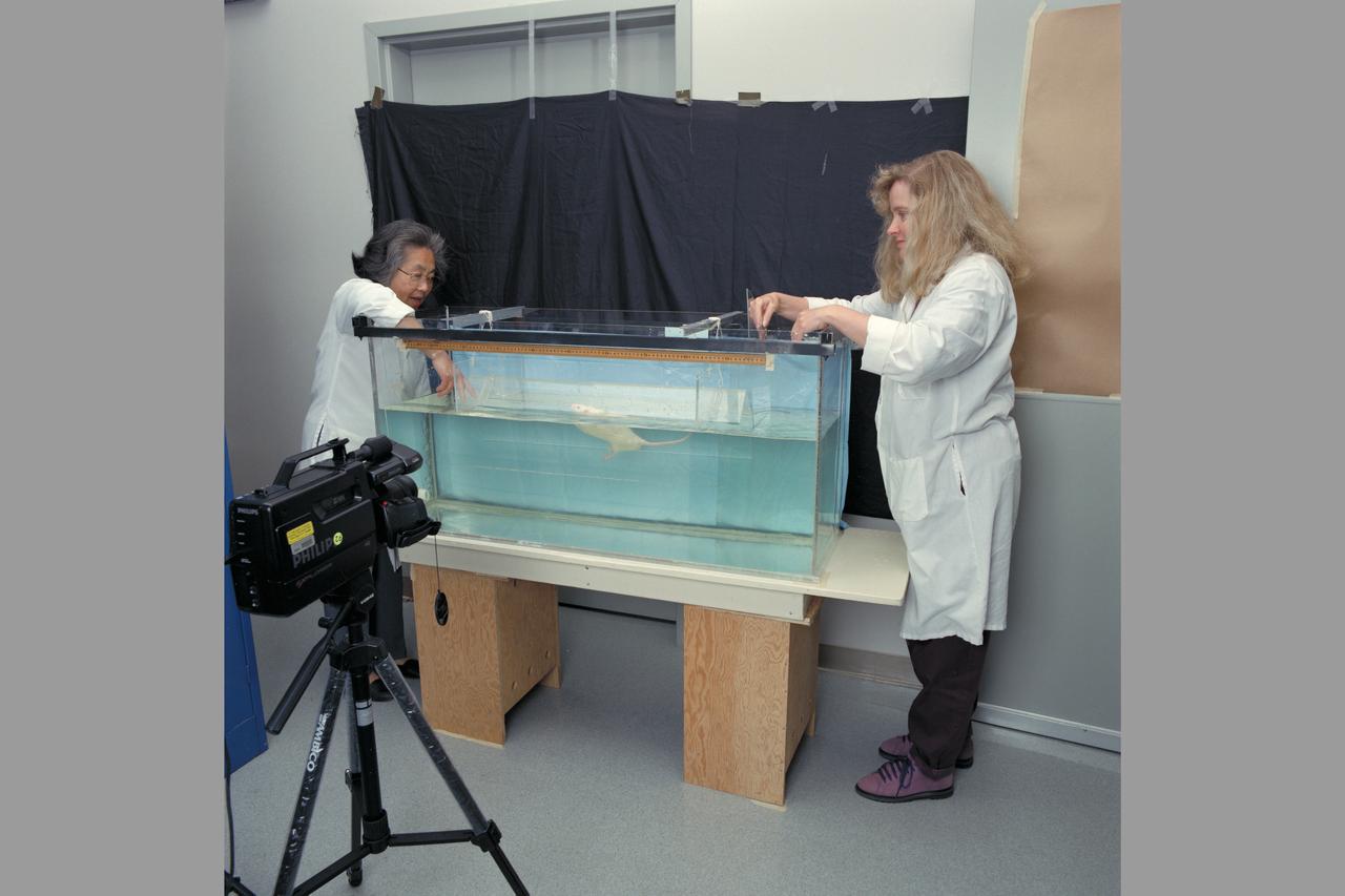 Life Sceince Division Facilities, Labs and Personnel  (Code-SL) Li-Chun Wu and Merylee Corcoran