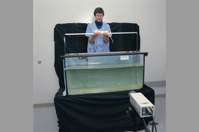 NASA image: ARC-1993-AC93-0265-46