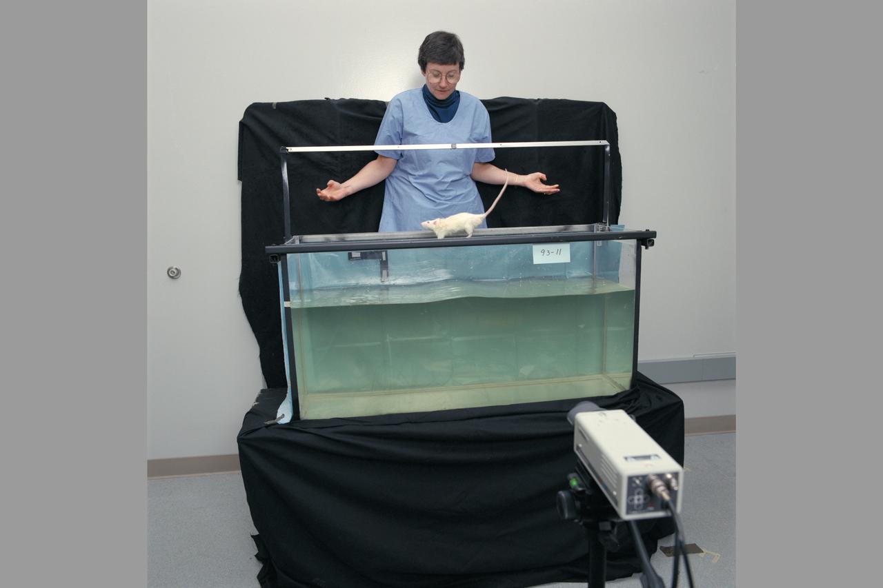 Life Sceince Division Facilities, Labs and Personnel  (Code-SL) Nancy Daunton