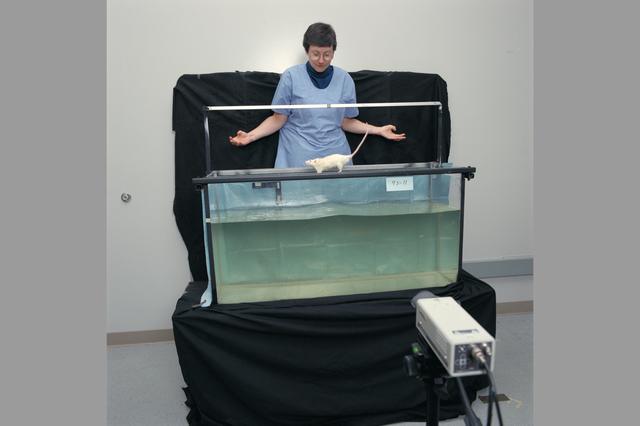 ARC-1993-AC93-0265-47