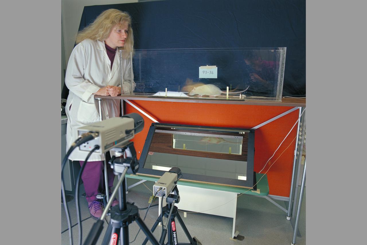 Life Sceince Division Facilities, Labs and Personnel  (Code-SL) Marylee Corcoran