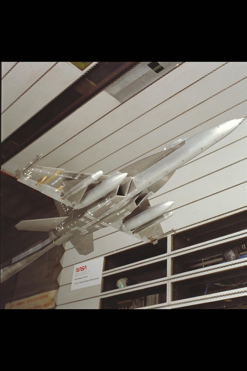 F/A-18 E/F Model: 11ft. W.T. Test #207-1-11