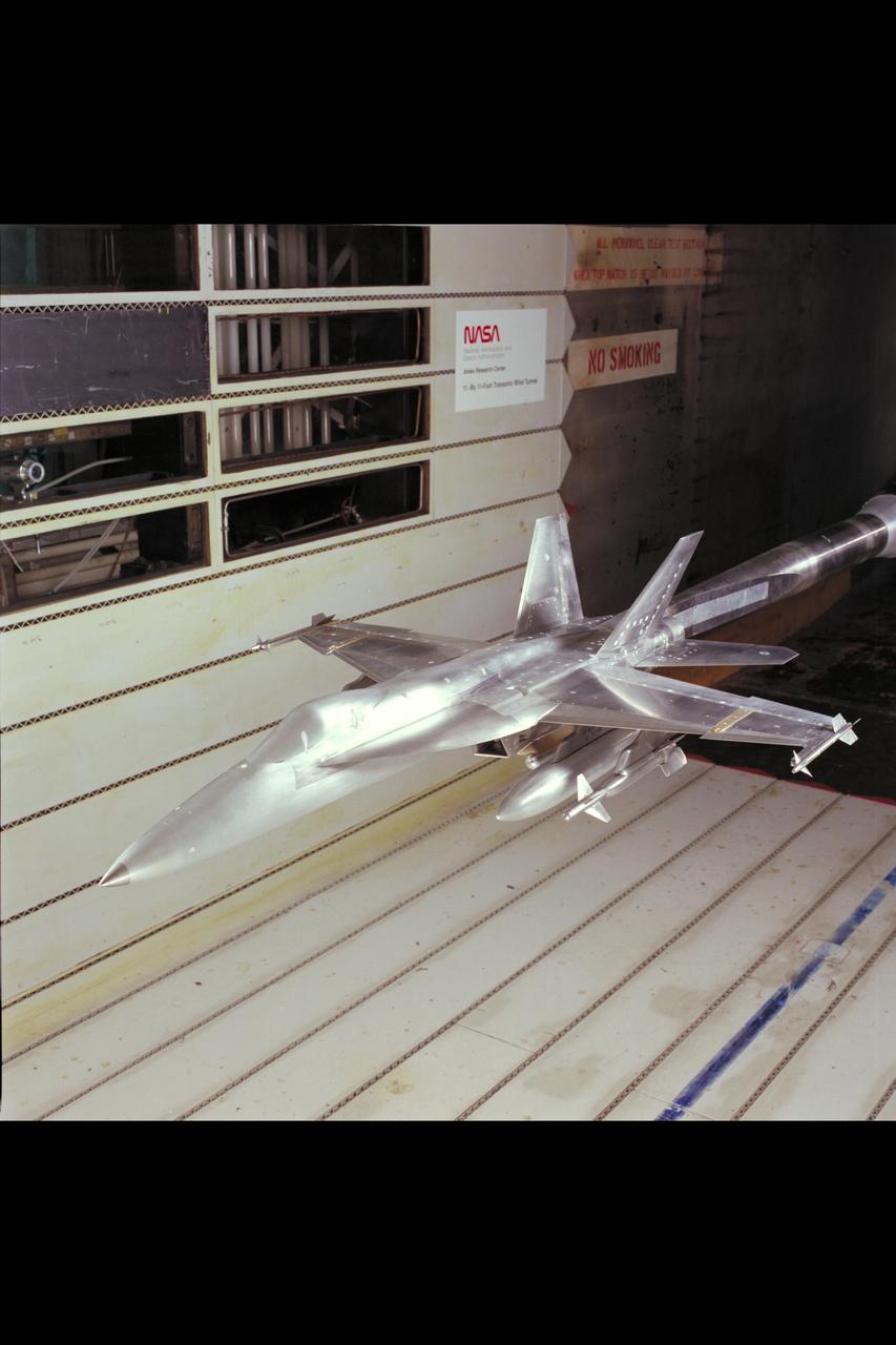 F/A-18 E/F Model: 11ft. W.T. Test #207-1-11 (February and March)