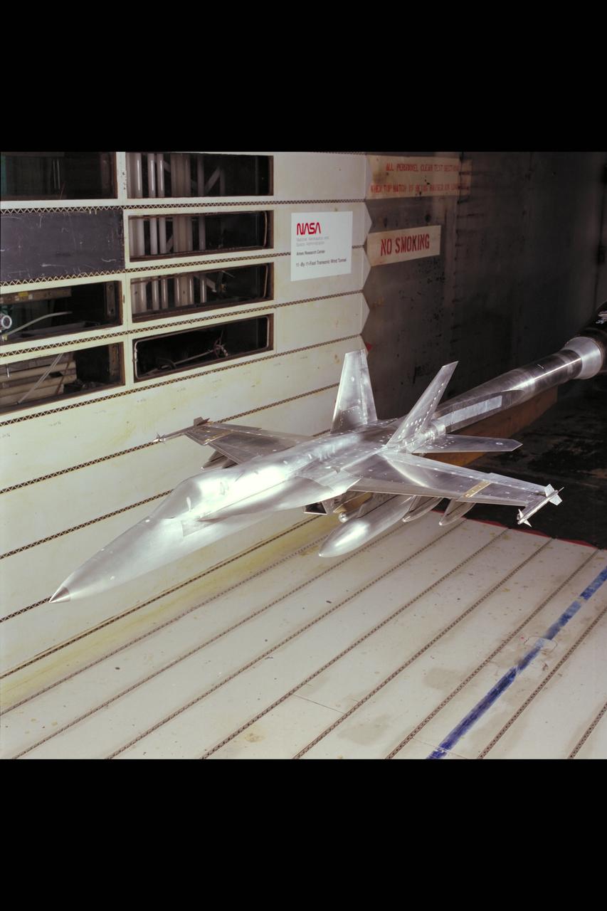 F/A-18 E/F Model: 11ft. W.T. Test #207-1-11 (February and March)