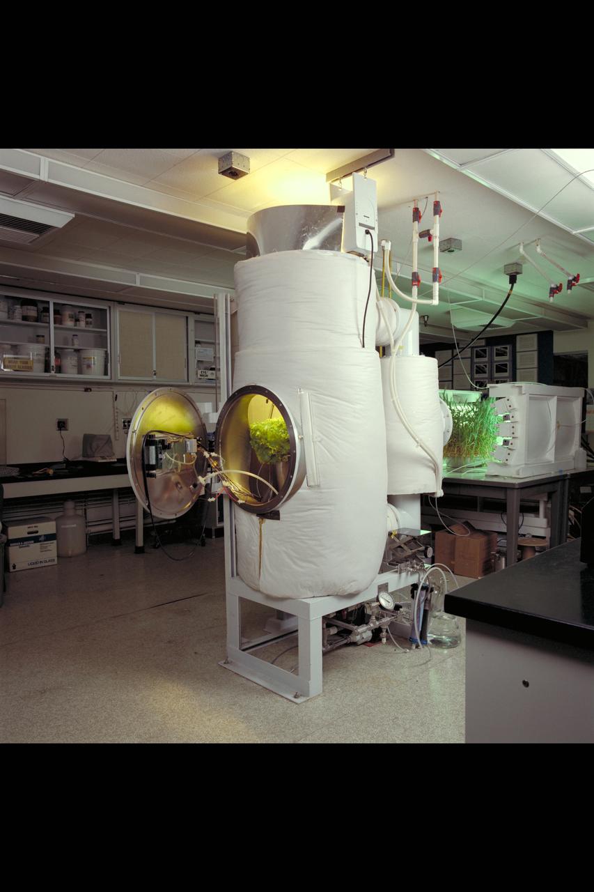 Ames Life Sciences Experiments: Plant Volatile Chamber