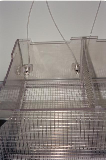 NASA image: ARC-1994-AC94-0289-20