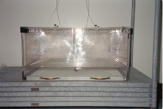 NASA image: ARC-1994-AC94-0289-25