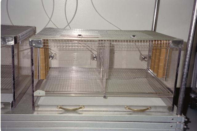 NASA image: ARC-1994-AC94-0289-38