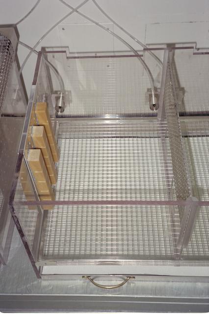 NASA image: ARC-1994-AC94-0289-40