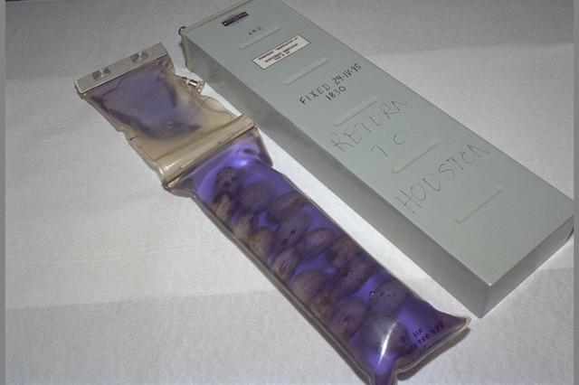 NASA image: ARC-1995-AC95-0251-5