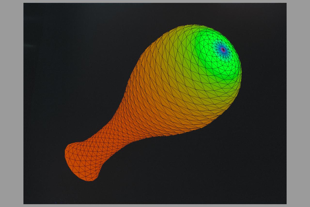 Virtual Reality Application for Neuroscience Research Biocomputation in the study of space motion sickness and balance (inner ear)