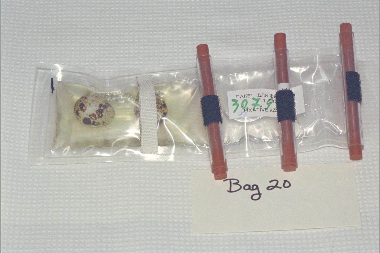 Space Shuttle STS-74 incubator fix kit; Quail Eggs from MIR Space Station