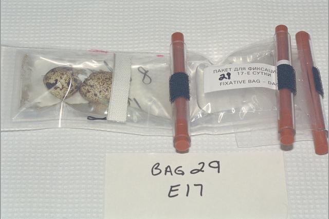 NASA image: ARC-1995-AC95-0426-2