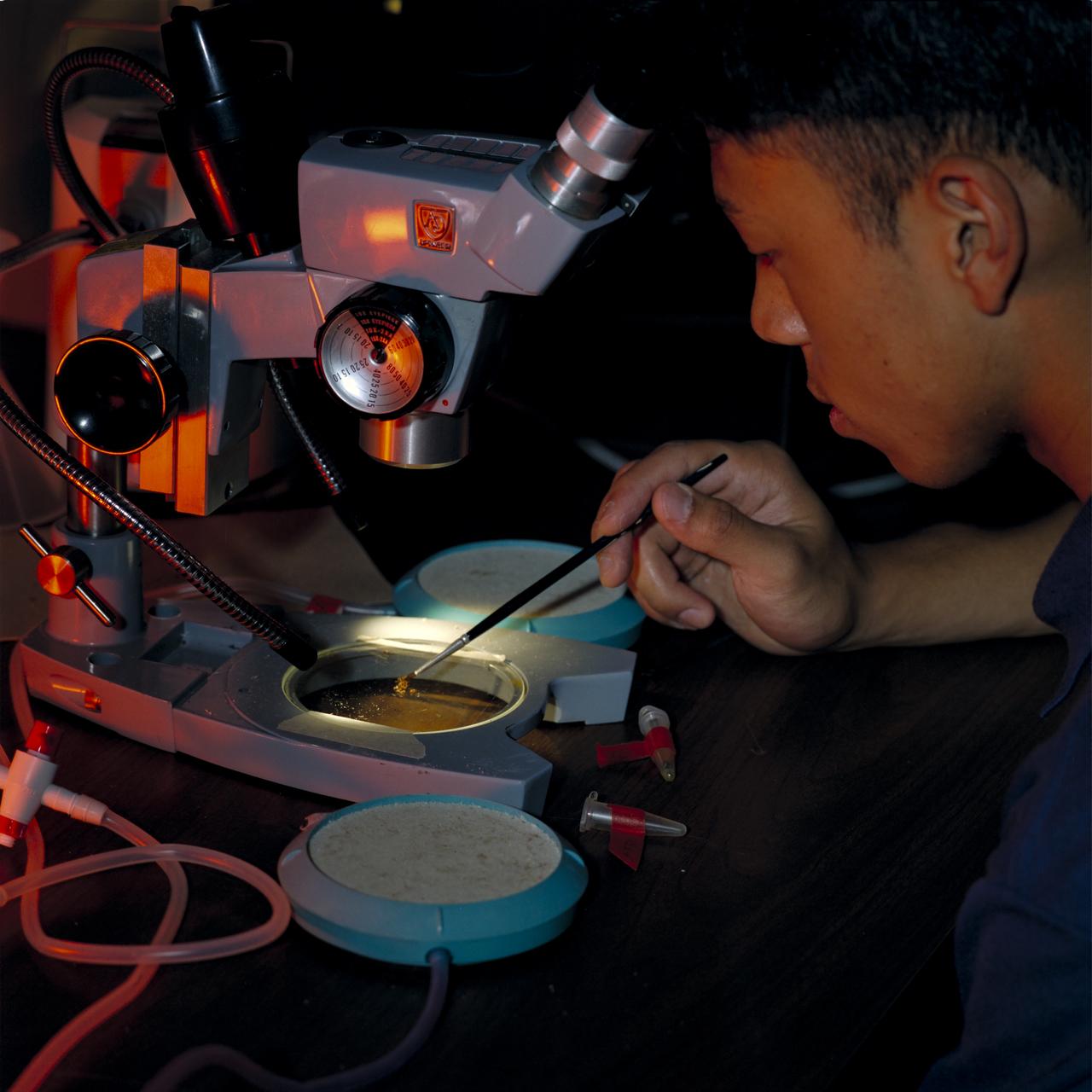 Insect larvae separation containers (fruit fly; egg,  pupae and adults male/female) with Jason Cardema