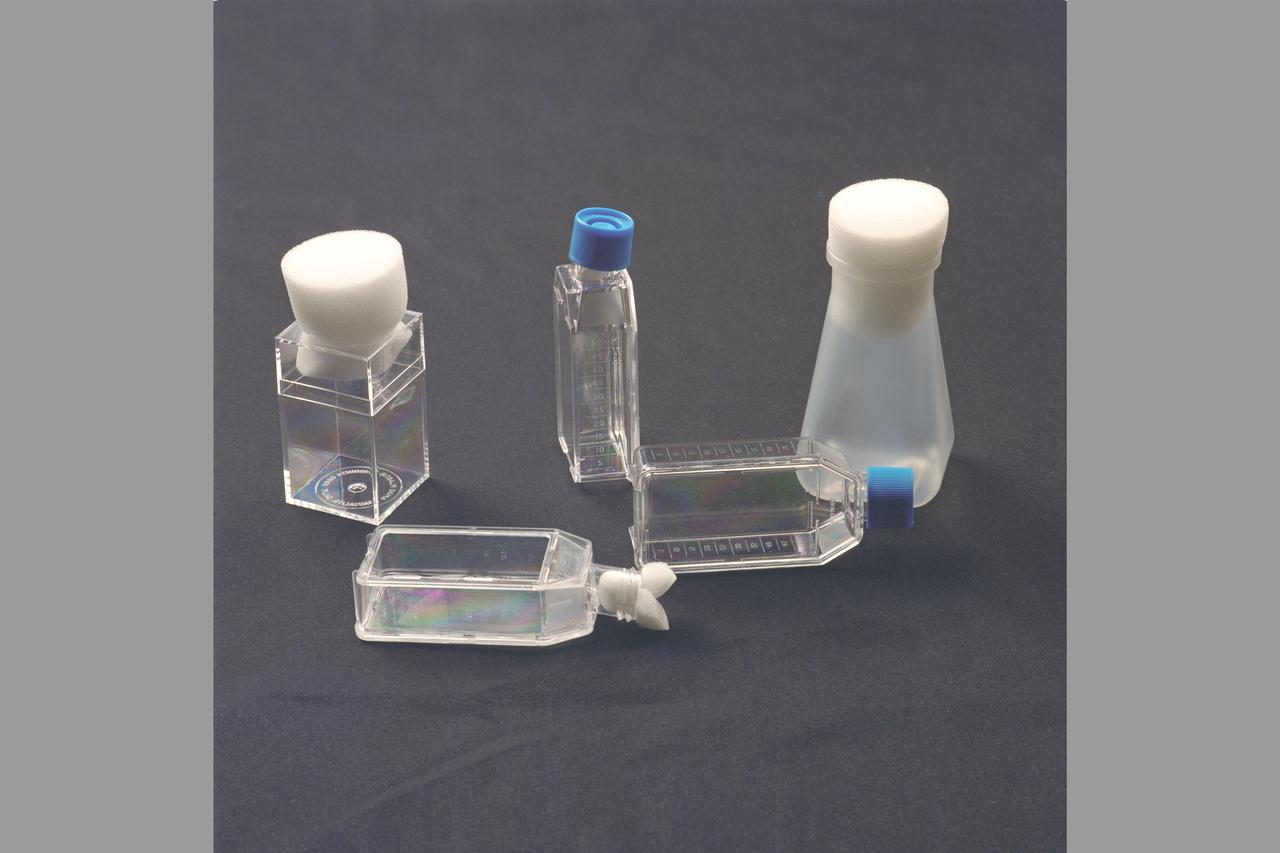 Life Cycle of a Fruit Fly study: insect larvae separation contrainers
