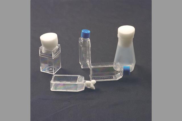 NASA image: ARC-1996-AC96-0242-3