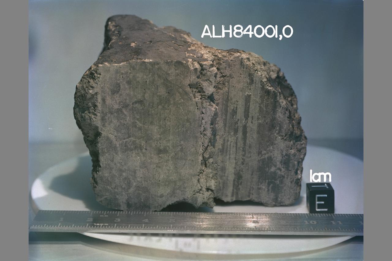 Martian Meteorite (ALH84001) Life on Mars? Microscopic Fossils