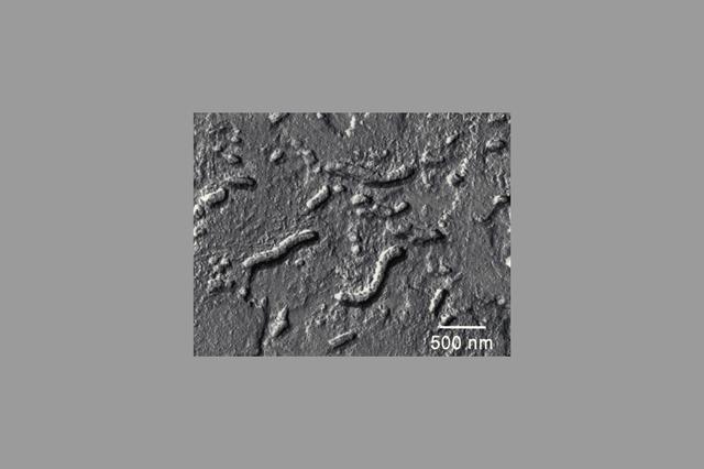 NASA image: ARC-1996-AC96-0345-11