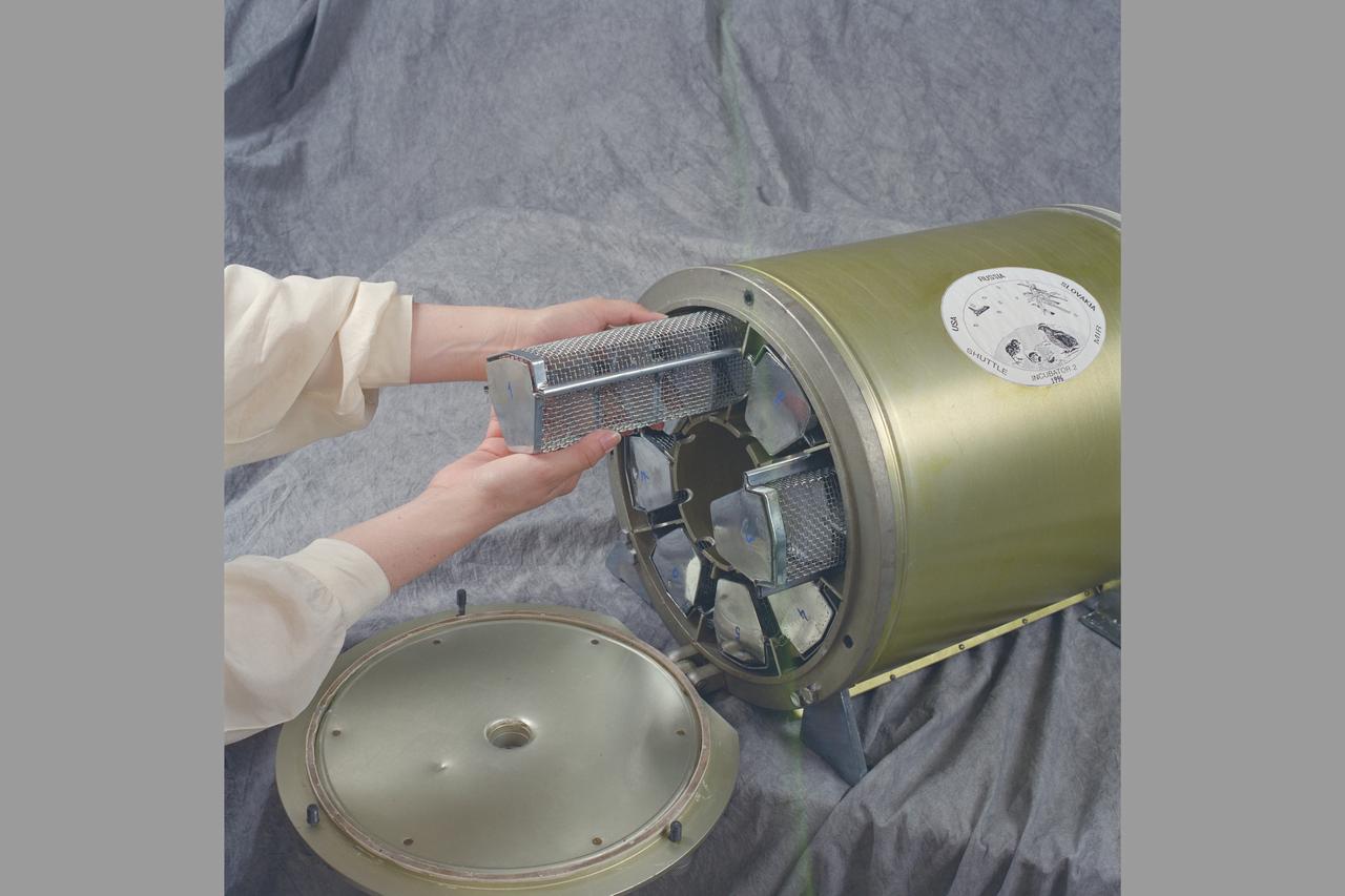 Slovakian Incubator (N-240, rm 133c)