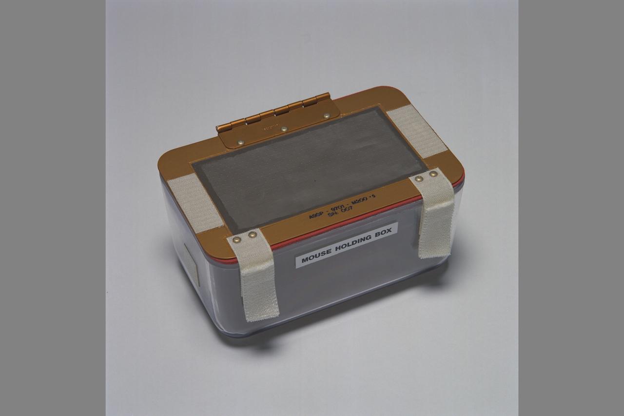 STS-90 Nerolab EVA - AEM