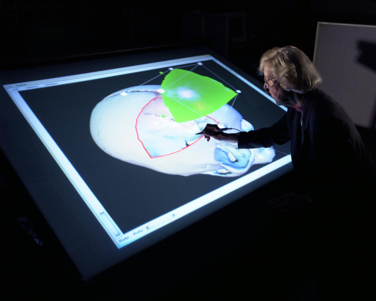 Biocomputation Lab: Fake Space Immersible Workbench Research; software scalpel with Dr Murial Ross