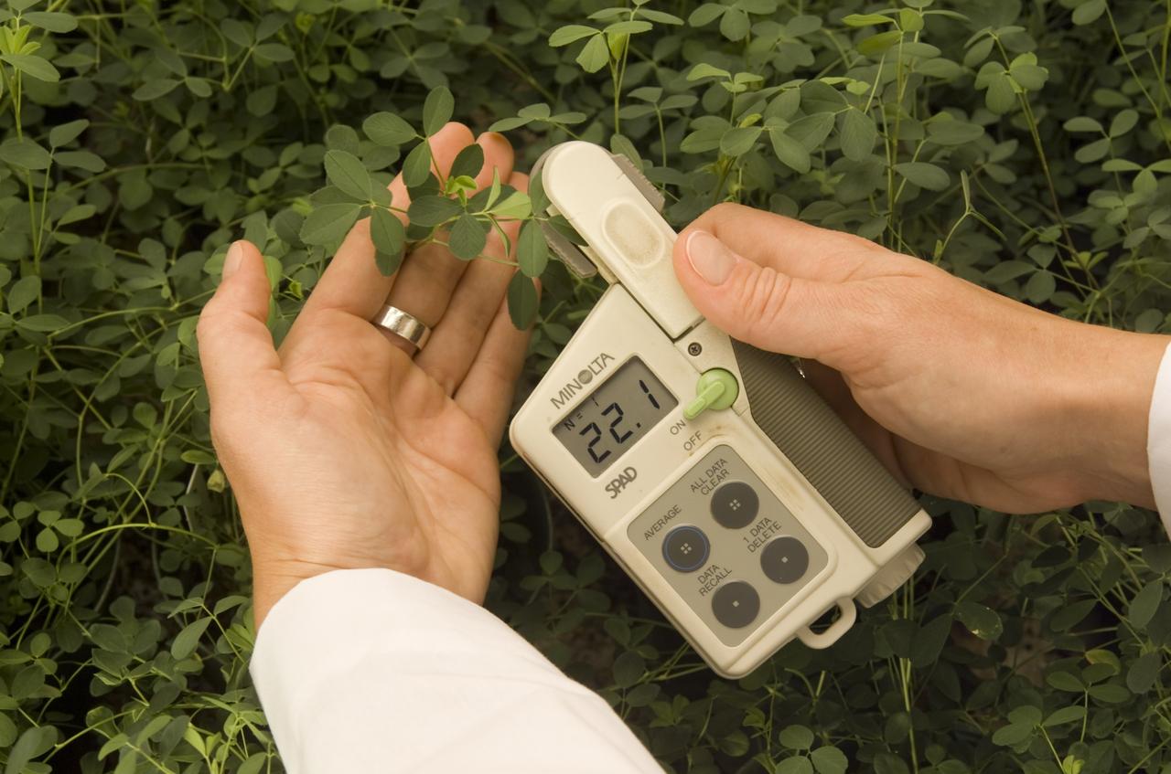 Microwave effects on plant growth (alfalfa). Dr. Jay Skiles of NASA Ames Research Center, Moffett Field, Calif., holds probe and microwave intensity meter.