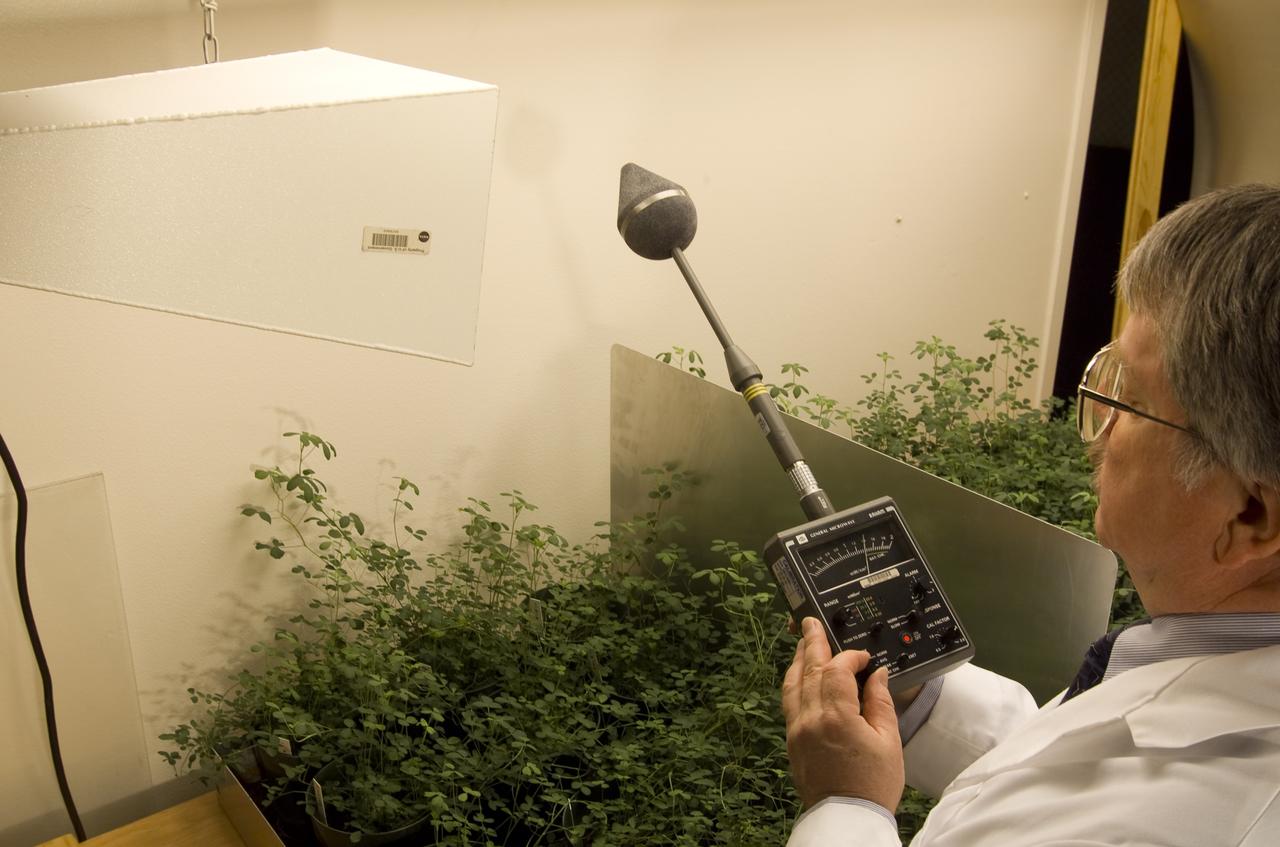 Microvave effects on plant growth (alfalfa).