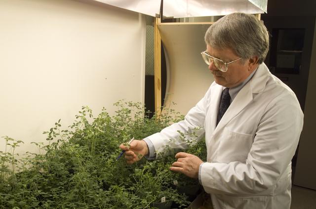 NASA image: ARC-2002-ACD02-0061-4