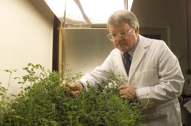 NASA image: ARC-2002-ACD02-0061-5