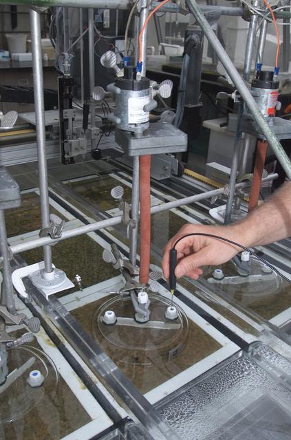 Microbial Mats; n-239 roof, Greenhouse one: flux measurement test