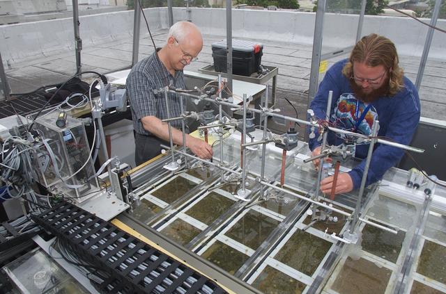 Microbial Mats; n-239 roof, Greenhouse one: overview of flux measurement test with Dave Des Marias and Stephen Carpenter