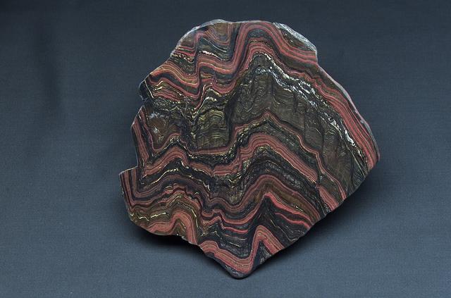 Microbial Mats; n-239 roof, Greenhouse one: Morison stromatolite