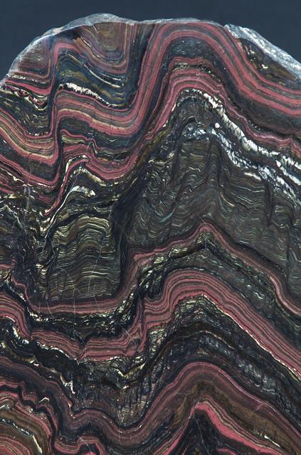 Microbial Mats; n-239 roof, Greenhouse one: close up of section of the Morison stromatolite