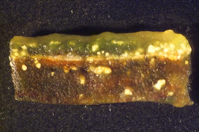 Microbial Mats; N-239 roof, Greenhouse one: close ups of microbial mats showing layering