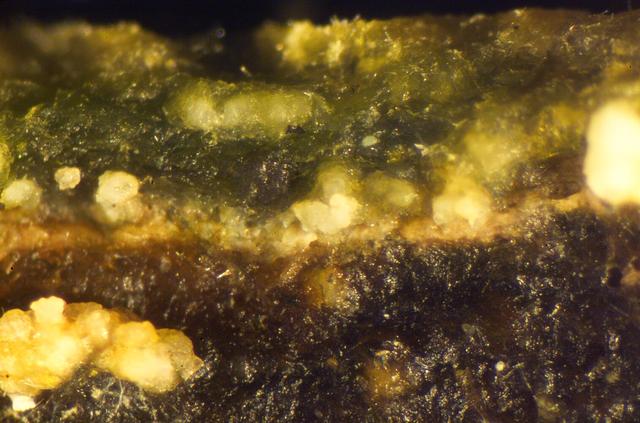 Microbial Mats; N-239 roof, Greenhouse one: close ups of microbial mats showing layering