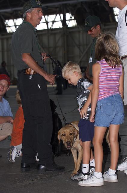 Airshow hosted by Moffett Federal Airfield