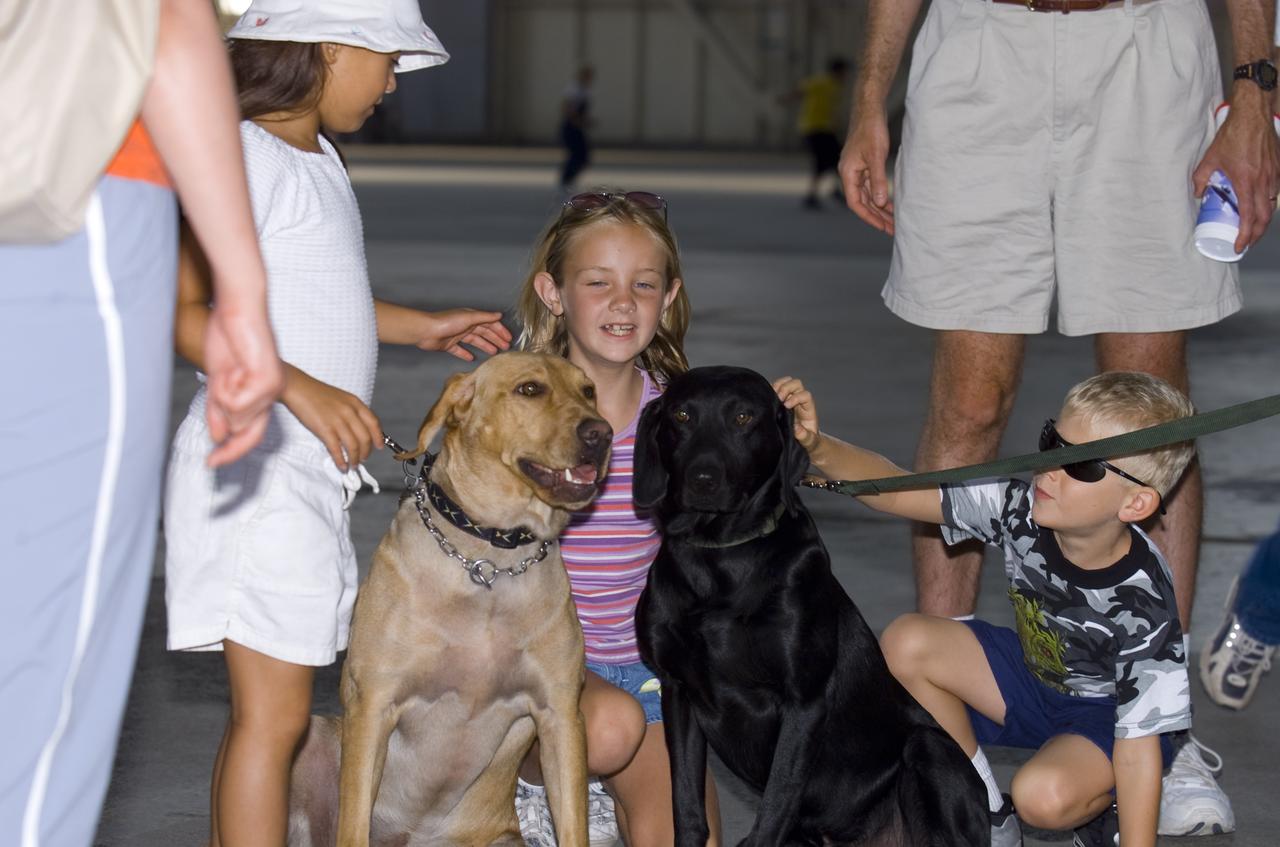 airshow hosted by MFA