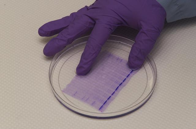 NASA image: ARC-2003-ACD03-0174-011