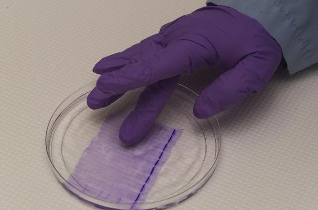 NASA image: ARC-2003-ACD03-0174-012