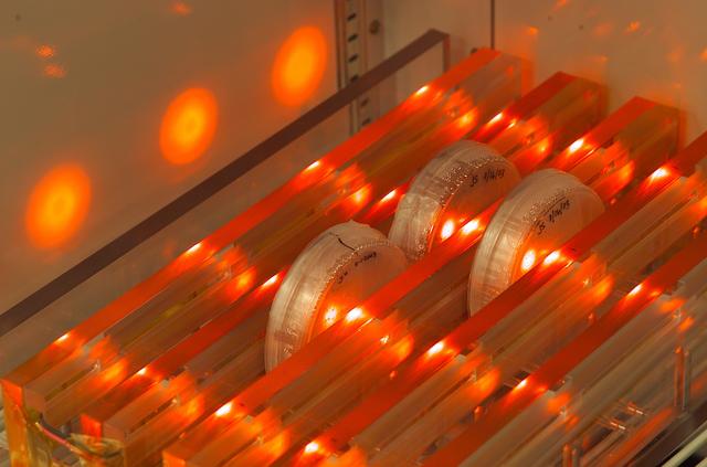 NASA image: ARC-2003-ACD03-0174-015