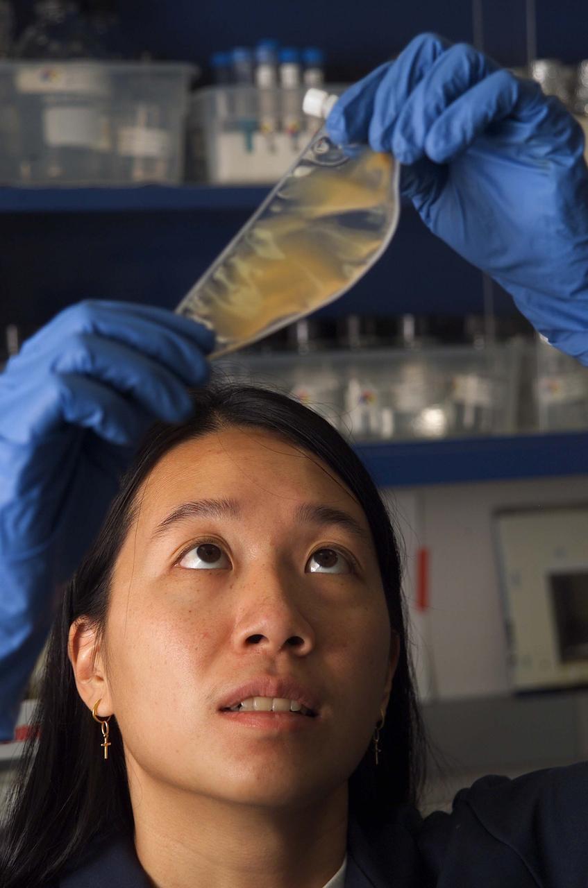 SSBRP Incubator/Small Payloads Development (N-261 Lab 1) speciems, with Dian Yu (Jacob Cohen's lab assistant)