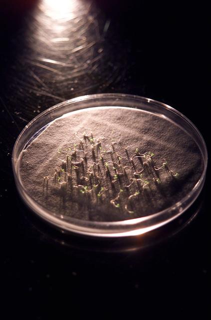 NASA image: ARC-2003-ACD03-0174-027